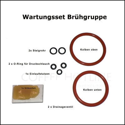 Wartungsset Brüheinheit AEG Cafamosa